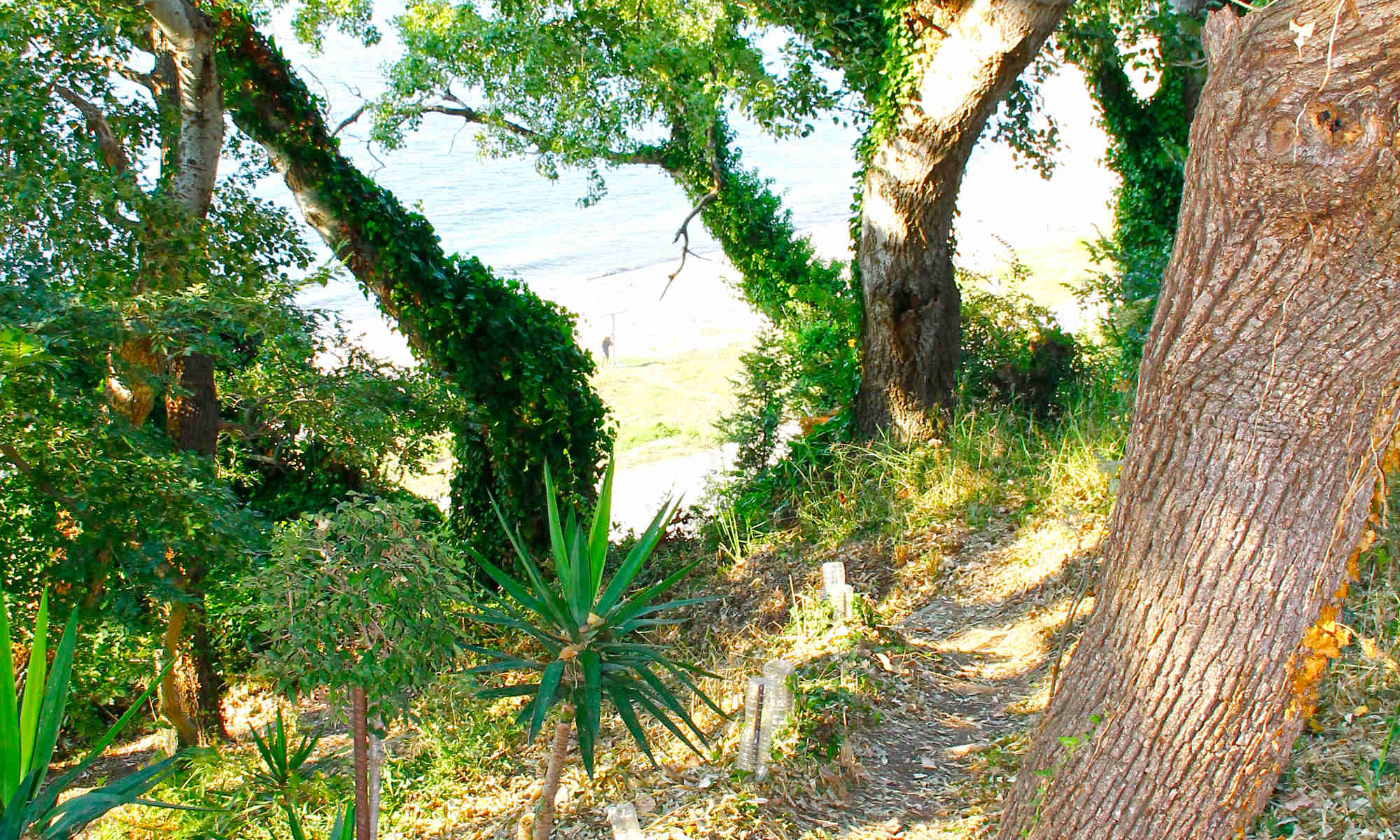 Τα σκαλάκια... από τον παράδεισο του κήπου μας στο απέραντο γαλάζιο του Ιονίου! - http://anixipreveza.gr